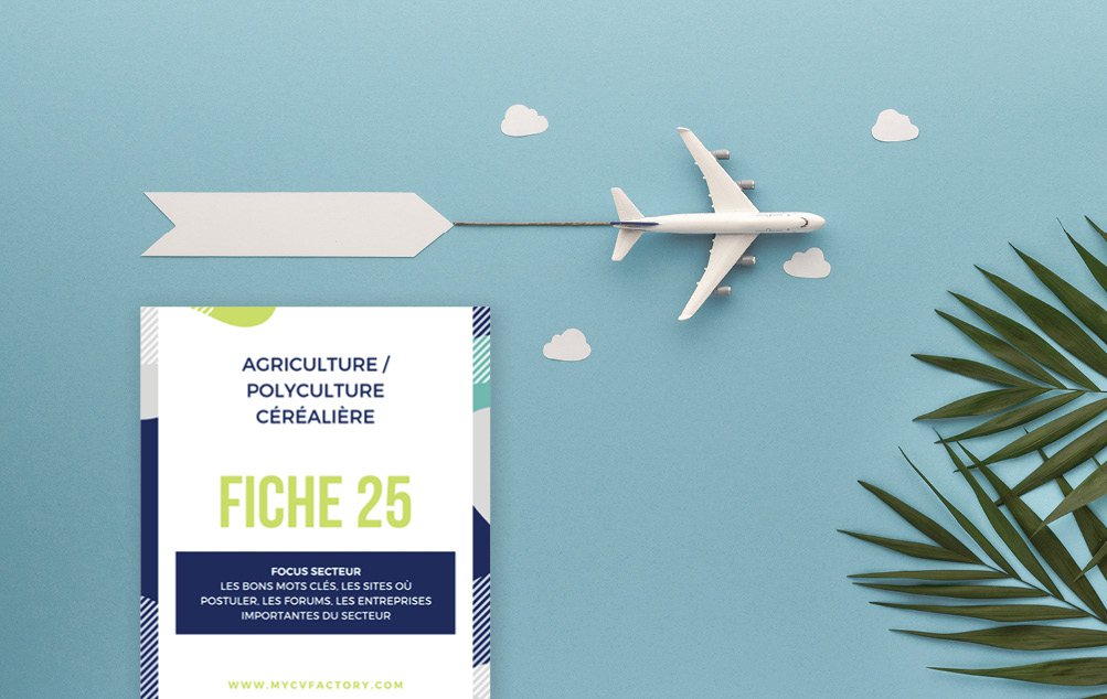 Fiche 25 A.jpg CV polyculture céréalière