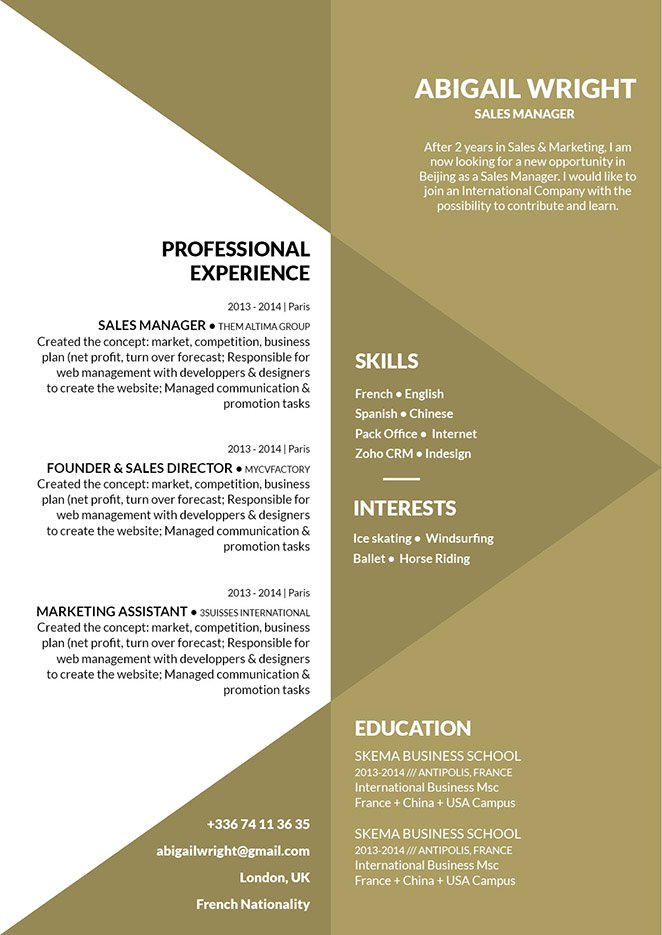 A resume layout made professional with great and clear design.