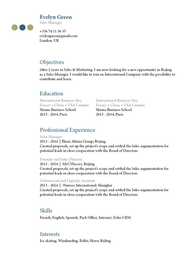 This CV template will help you create the perfect resume with the perfect format