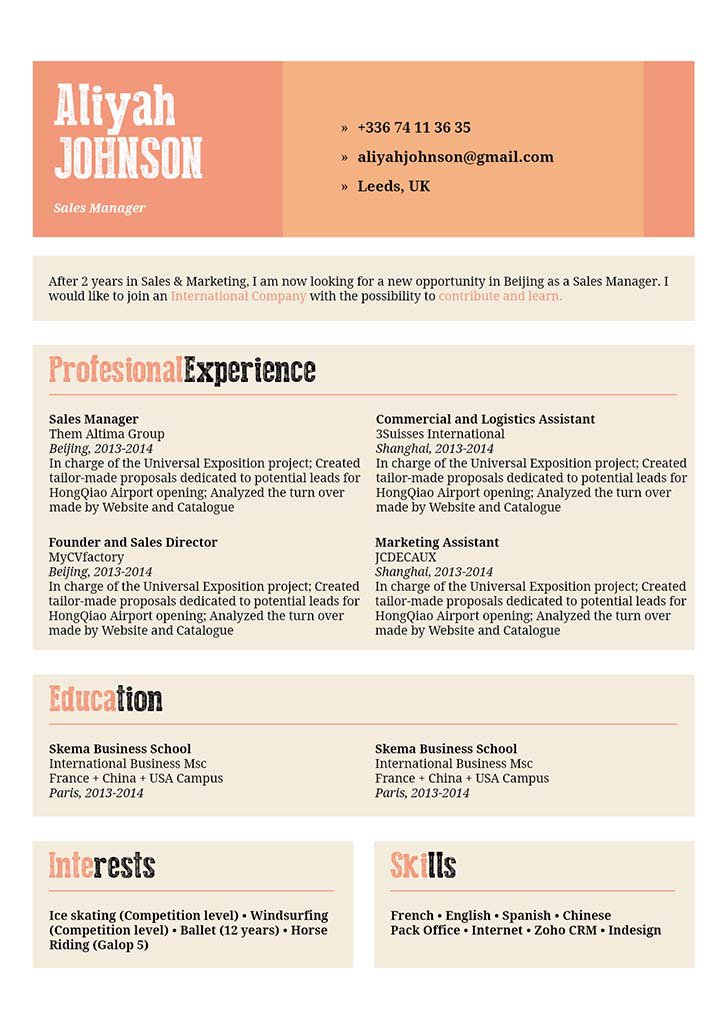 One of the best professional resume samples out their to impress the reader