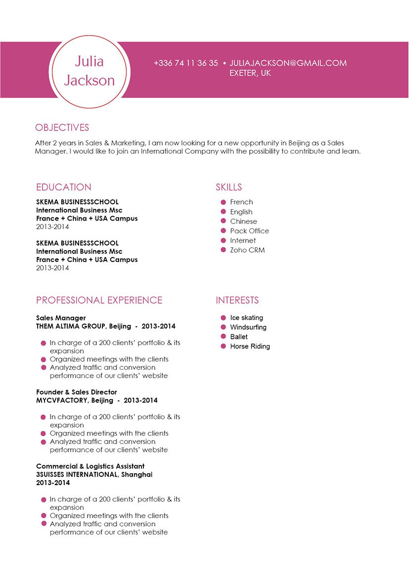 A professional CV format that is sure to make your template a real show-stealer!