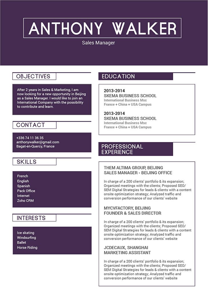 A great resume template with a great format for professionals!