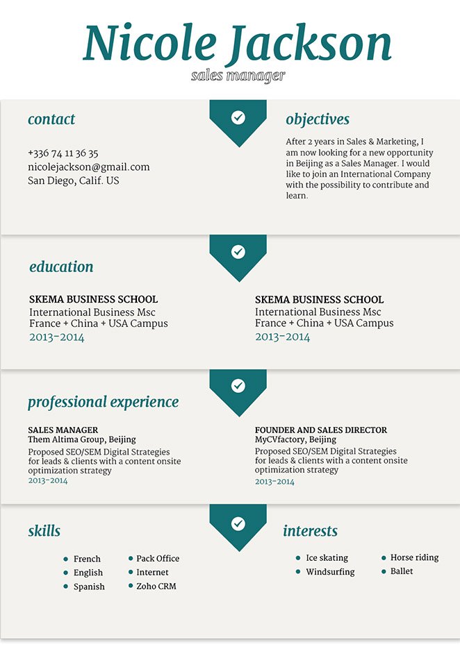 A great resume template with a great format for professionals!