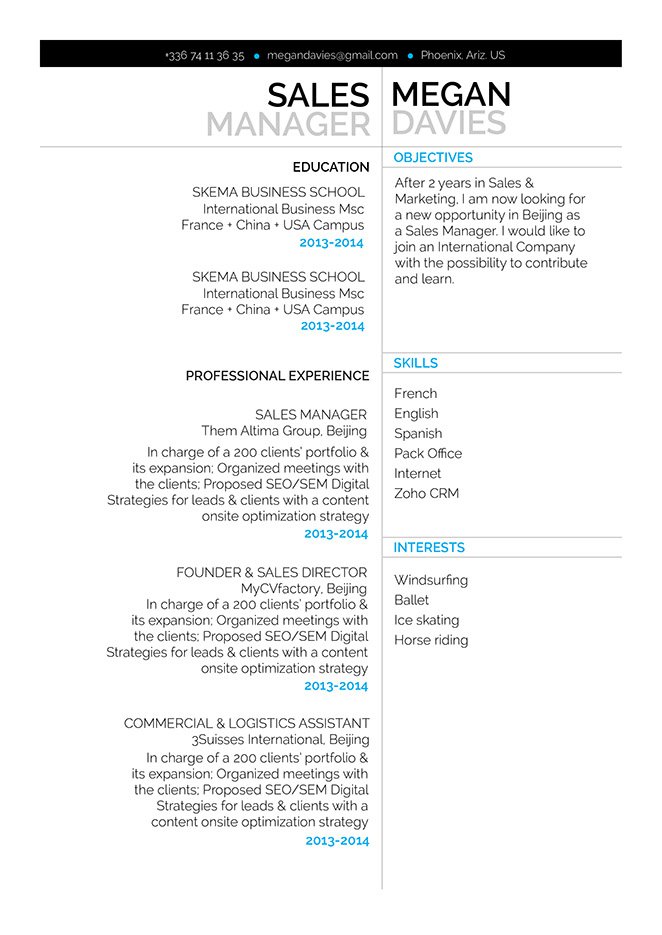 Professional resume template to help you get that dream job