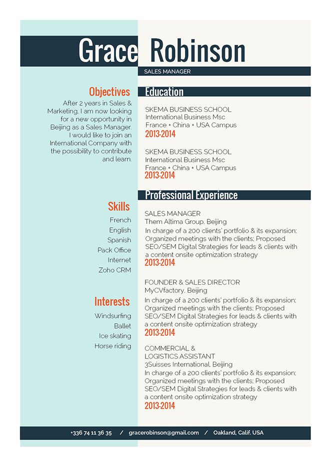 The format is clean and functioal making for a great resume!