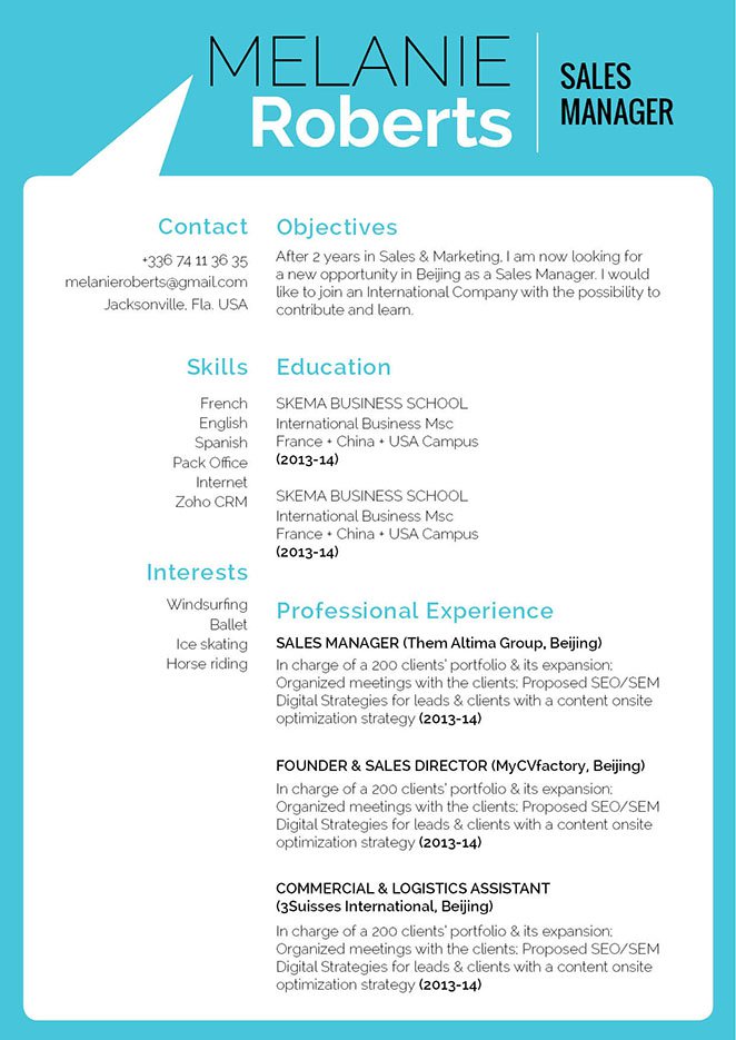 Social Media Resume Template from media.mycvfactory.com