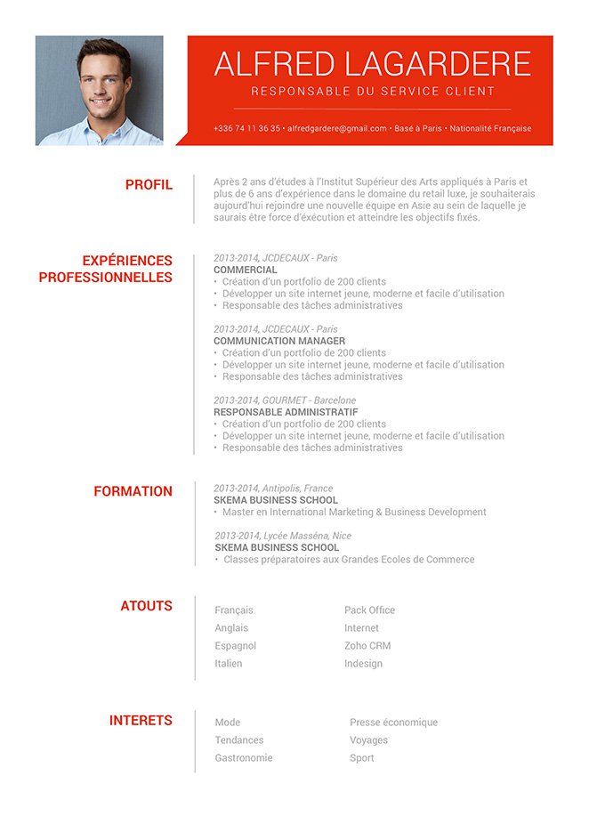 Exemple De Bon Cv