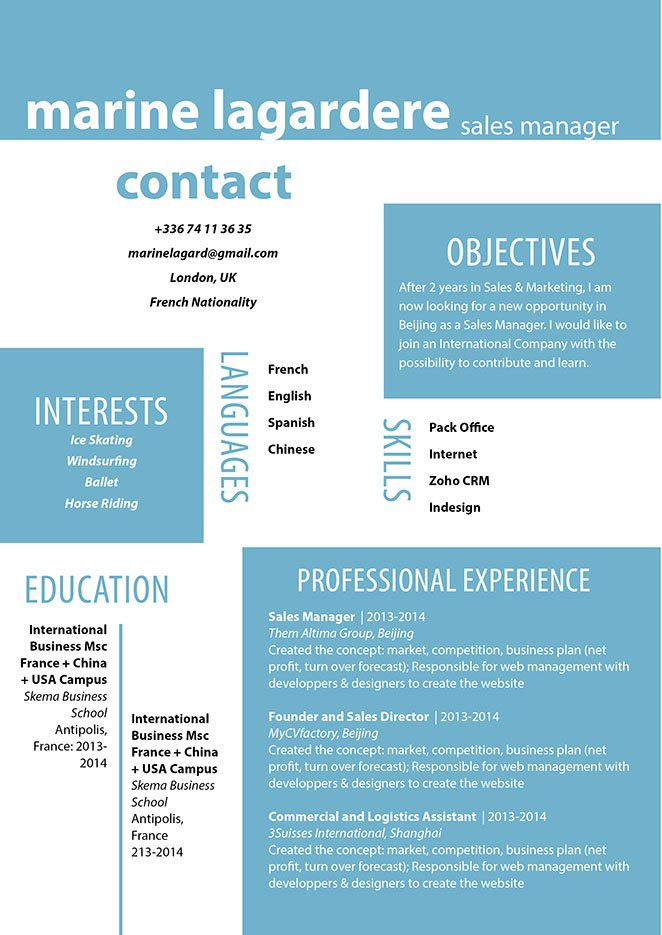 Clear and consice -- a professional cv with the ideal format!
