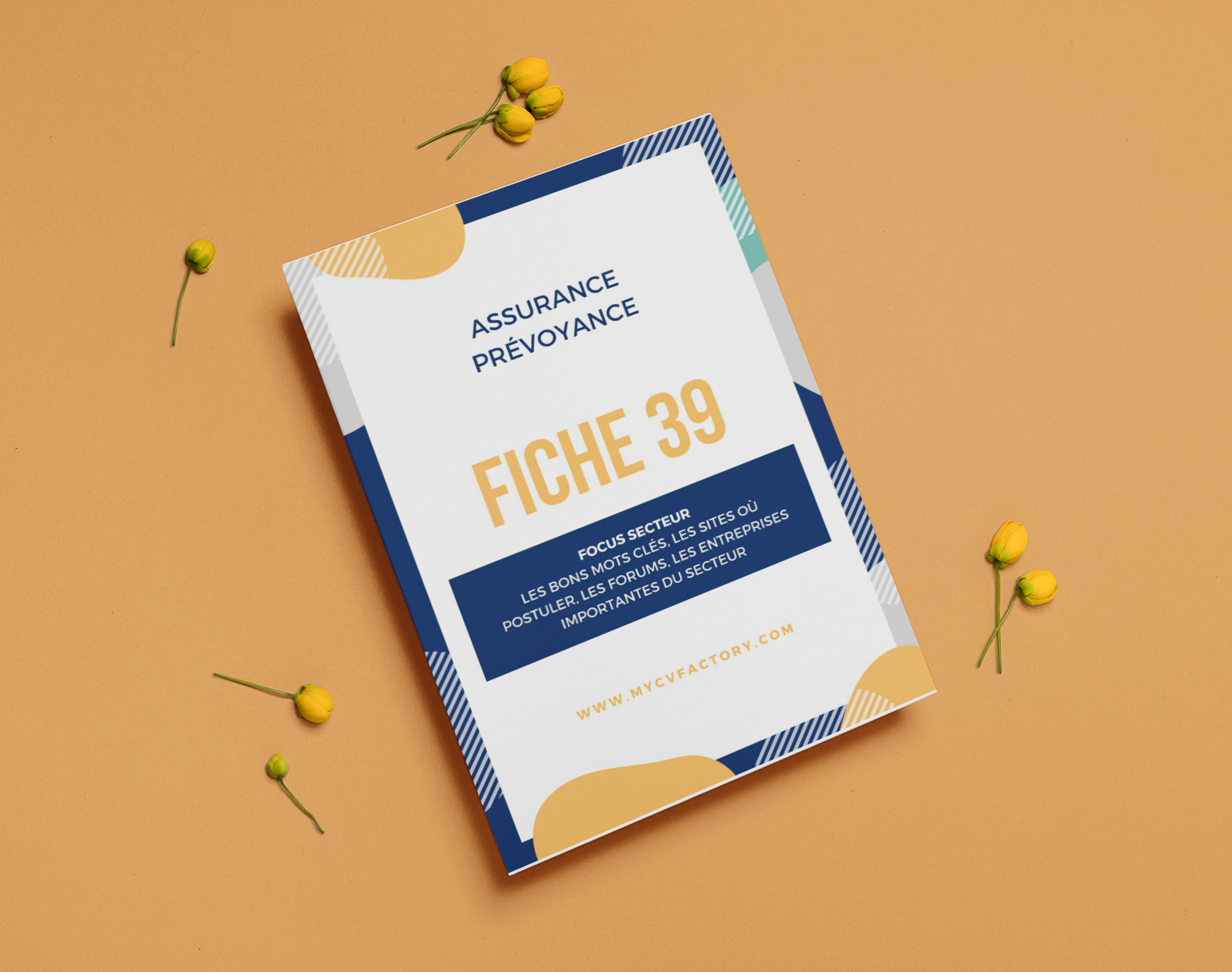 fiche-conseil-39-ASSU-3.png CV original assurance