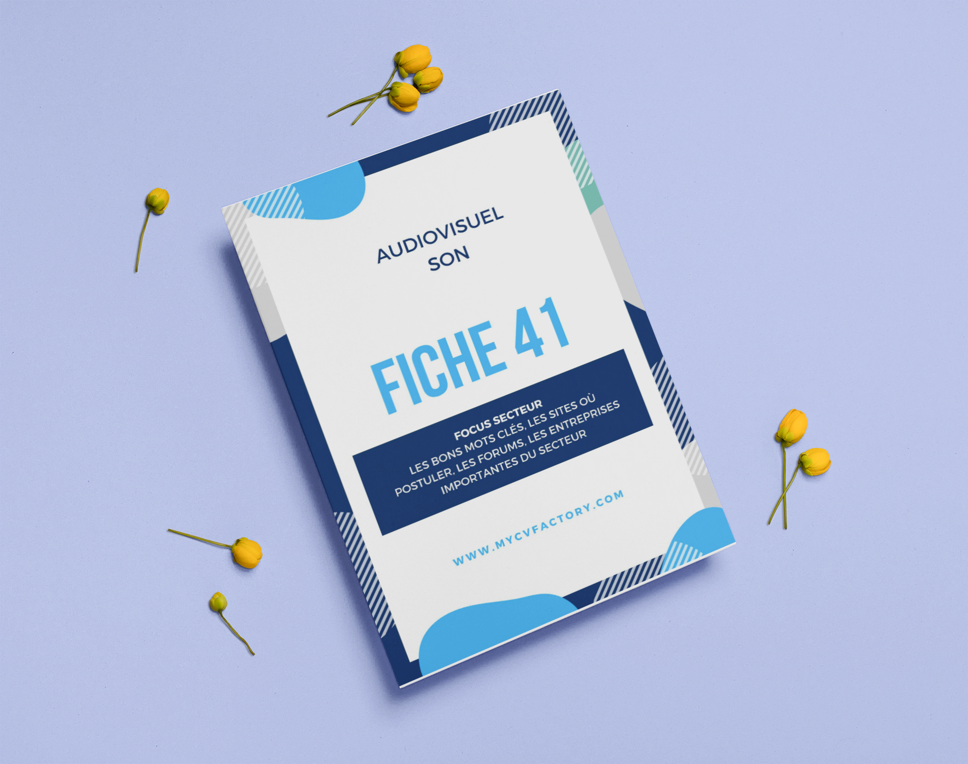 fiche-conseil-41- AUDI SON-3.png CV moniteur sonore