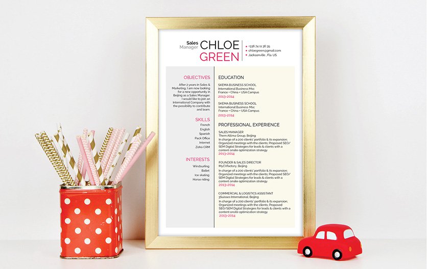 The sidebar in this professional resume format allows for an easier and more creatie read