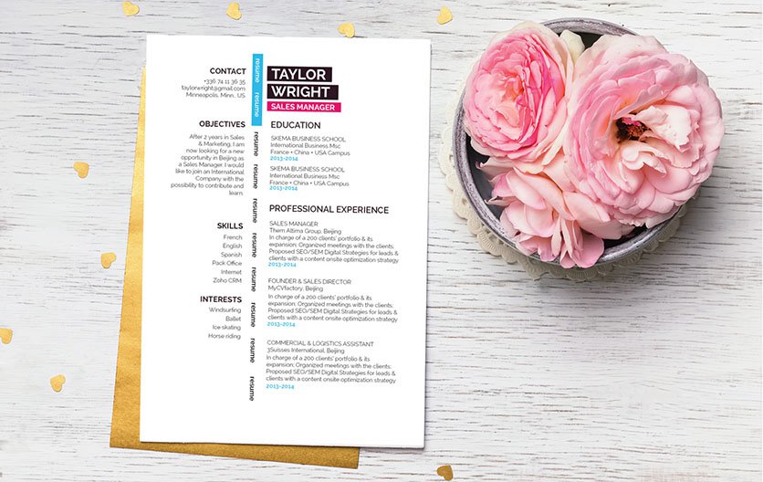 Expanding your career? This is the best professional resume template out there!