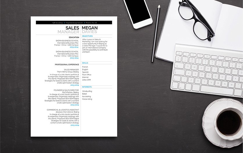 Great design and format, all relevant points are seen in this professional resume template